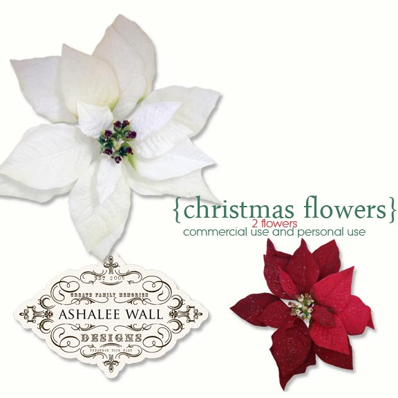 awall_cfpreview-01.jpg
