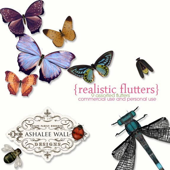 awall_realflutter.jpg