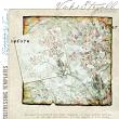 Vicki Stegall - Tattered & Torn 3 Distressing Templates example