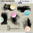 Brush Set: Chic Blenders
