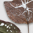 Splattered Leaves for Digital Scrapbooking by Vick Robinson detail 