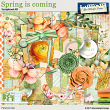 Spring is coming by Aftermidnight Design