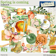 Spring is coming by Aftermidnight Design