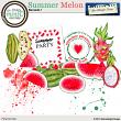 Summer Melon Elements 1 by Aftermidnight Design