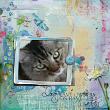Layout using Cattitude by Aftermidnight Design