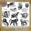 Fauna - Set 2 by Laurie Ann Phinney