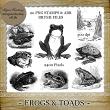 Frogs and Toads by Laurie Ann Phinney