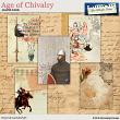 Age of Chivalry Journal Cards by Aftermidnight Design