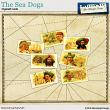 The Sea Dogs Cigarett Cards by Aftermidnight Design