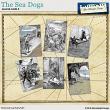 The Sea Dogs Journal Cards 3 by Aftermidnight Design