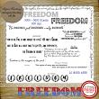 FREEDOM - 10 Piece Word Art Set by Idgie's Heartsong