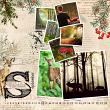 Layout by Marie Orsini using Nordic Woods Kit by Aftermidnight Design