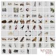 Winters Past Digital Scrapbook Elements Sheet Preview by Lynne Anzelc