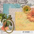 Live Life Mini #digitalscrapbooking Kit by AFT Designs @Oscraps.com