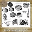 Beach Treasures - Set 2 - 11 PNG Stamps and ABR Brushes by Idgie's Heartsong