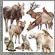 Winter Is Coming Digital Scrapbook Animals Preview by Lynne Anzelc