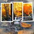 Autumn Glory by Lynne Anzelc Digital Art Page 10