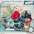 Venice in November Elements by Aftermidnight Design