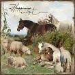 Its a Farm Girl Thing by Lynne Anzelc Digital Art Layout 03