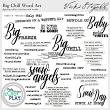 The Big Chill Digital Scrapbook Titles by Vicki Stegall @ Oscraps.com