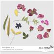 Little Floral Bits by Vicki Robinson Designs