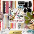 Celebrate #digitalscrapbooking Bundle by AFT Designs - Amanda Fraijo-Tobin