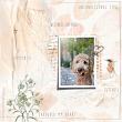 Just Gesso 01 by Vicki Robinson Layout 1 by Anke