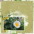 Jopke Designs - Gardening Digital Scrapbook Layout 01 by Tanteva