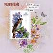 Friendship Garden Sample layout 12