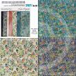 Fairy Garden Scrapbook Papers by Vicki Stegall at Oscraps details 1