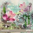 Captured Magic by emeto designs | Kit preview