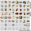 Autumn Past Addon Digital Scrapbook Elements Sheet  Preview | Lynne Anzelc
