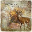 Autumn Past  Digital Scrapbook page by anita | Lynne Anzelc