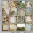 Autumn Past  Digital Scrapbook Paper Preview | Lynne Anzelc
