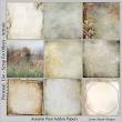 Autumn Past Addon Digital Scrapbook Paper Preview | Lynne Anzelc