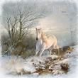 Winters Embrace by Lynne Anzelc Digital Art Layout 16