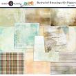 Bushel of Blessings Digital Scrapbook Kit Paper Preview 1 by Karen Schulz and Linda Cumberland Designs