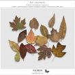 Fall Leaves 02 by Vicki Robinson