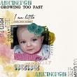 Just for Today by Vicki Robinson Sample Layout 4 by Beth