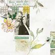 Digital Scrapbook Layout using So Much Collection by Lynn Grieveson 