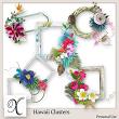 Hawaii Digital Scrapbook Clusters Preview by Xuxper Designs