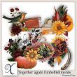 Together Again Digital Scrapbook Embellishments Preview by Xuxper Designs