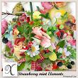 Strawberries Mint Digital Scrapbook Elements Preview by Xuxper Designs