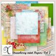 Strawberries Mint Digital Scrapbook Papers Preview by Xuxper Designs