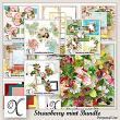 Strawberries Mint Digital Scrapbook Bundle Preview by Xuxper Designs