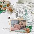 Trust In This Digital Art by Rachel Jefferies Scrapbook Layout 4