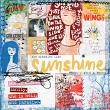 lilacho-Pocke-03-lbw-sunshine