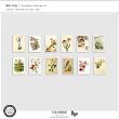 Spring Postage Stamps 01 by Vicki Robinson Designs 