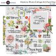  Digital Scrapbook Memory Photo Collage Art Pack May Preview by Karen Schulz Designs