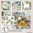 Seashell Passion Digital Scrapbook Bundle Preview by Xuxper Designs